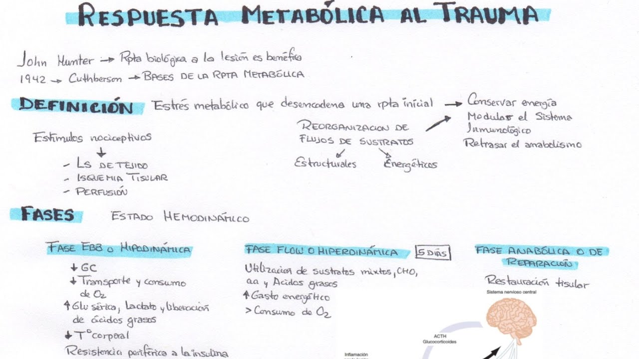 RESPUESTA METABÓLICA AL TRAUMA