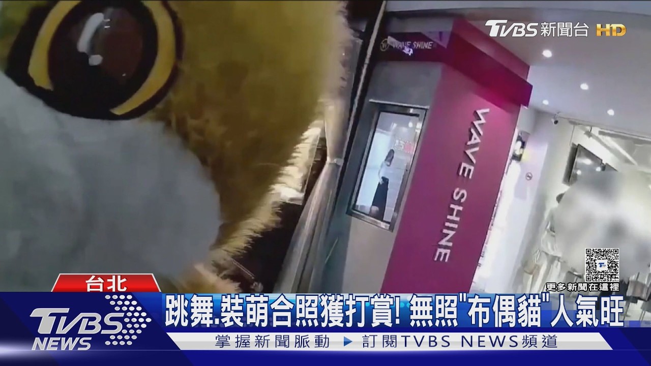 影音/西門町超萌「布偶貓」爆紅! 被揪出非街頭藝人下場曝光
