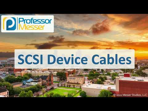 SCSI Device Cables - CompTIA A+ 220-1101 - 3.1