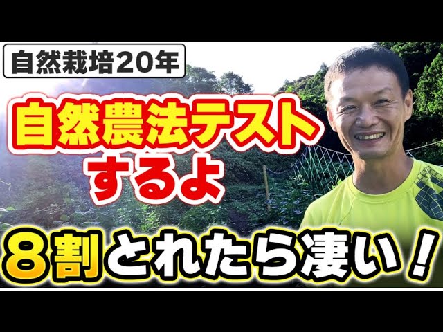 自然農法テストで学ぶ基本理念と判断基準