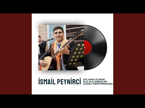Oğlanın Elinde / Ala Ala Danalar