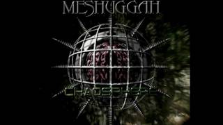 Meshuggah The Exquisite Machinery of Torture
