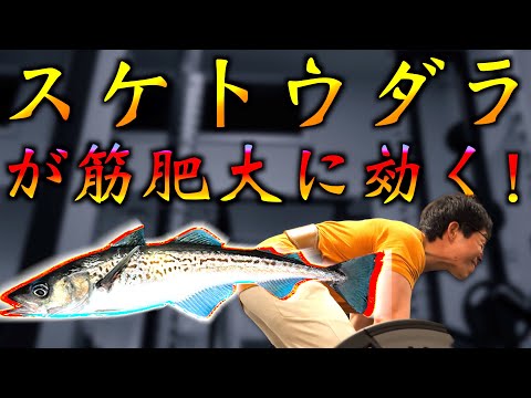 , title : '【筋トレ】スケトウダラのタンパク質で筋肉がつくらしい。'