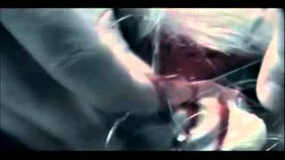 Suicide Silence - About A Plane Crash