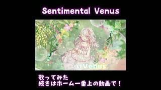 Sentimental Venus歌ってみた