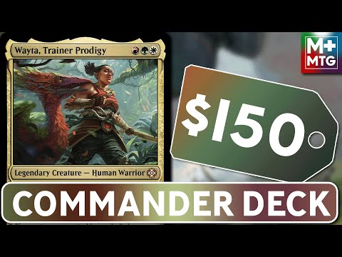 Enraged-osaurusus┃Wayta, Trainer Prodigy Commander Deck