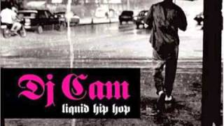 Dj Cam - Comewithastring