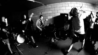 Vitals, Live @ VTLZ Shed