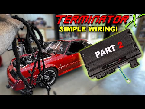 Wiring your TERMINATOR X doesn’t have to be a pain the A$$ (pt2)
