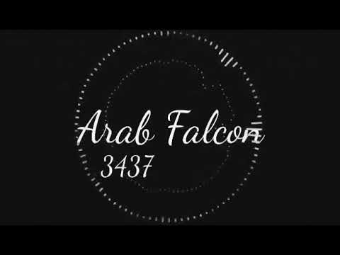 Abdalrahman Allabadi‎‏Arab Falcon Five Cats - صقر العرب ٥ قططا