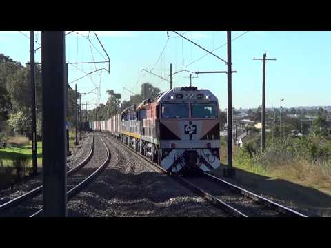 CF4412[BLACK CAVIAR]KOTARA