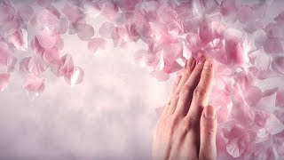 富澤タク “誰のために桜は咲く” (Official Music Video)