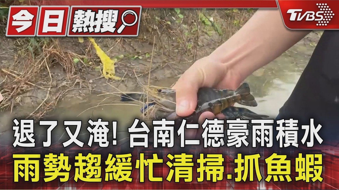 退了又淹! 台南仁德豪雨積水 雨勢趨緩忙清掃.抓魚蝦|TVBS新聞 @TVBSNEWS01