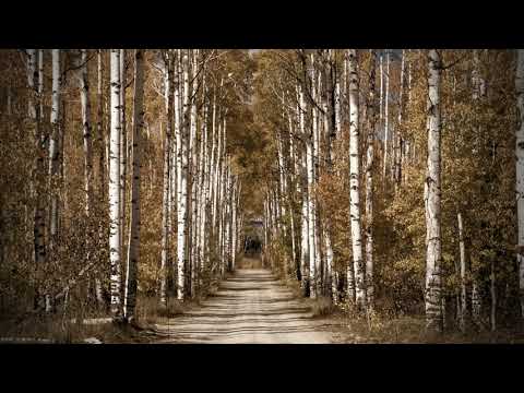 Nina Spirova - So maki sum se rodila