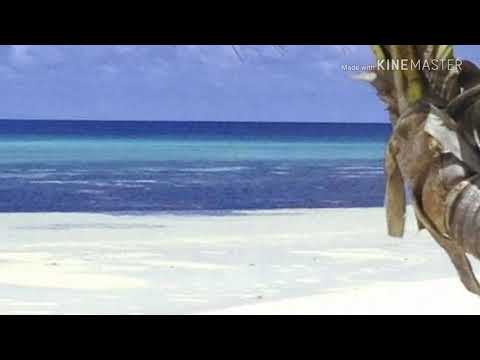 Voqa Ni Delai Dokidoki - Noqu Daulomani Remix (BloodXidE Remix)