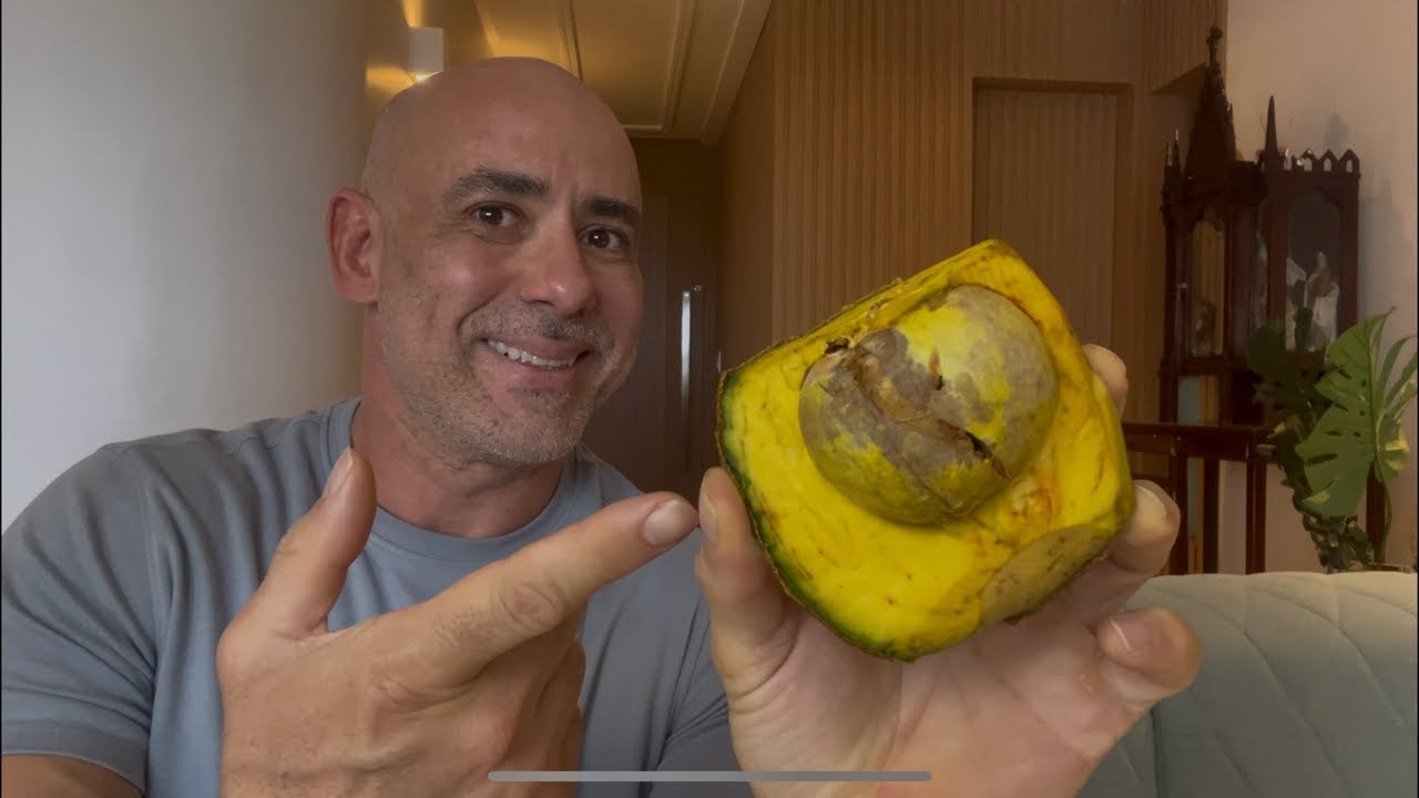 OS 7 MELHORES ALIMENTOS PRA UM CAFÉ DA MANHÃ EMAGRECEDOR | Dr Dayan Siebra