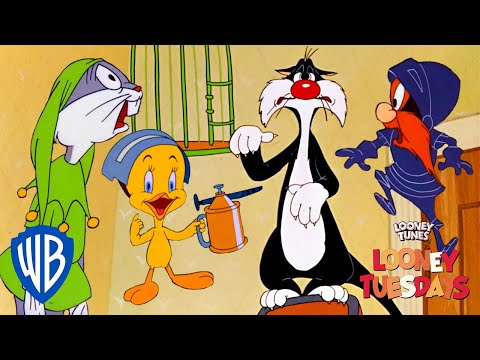 Looney Tuesdays | Our Oscar Winners! | Looney Tunes | WB Kids