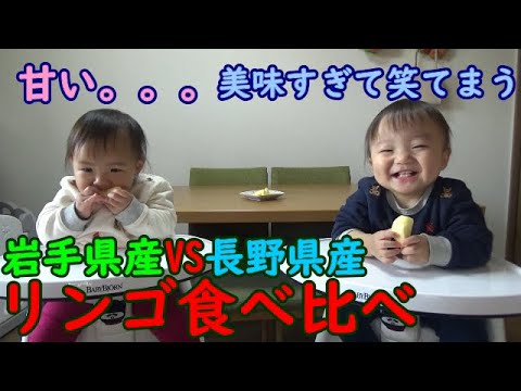 柴犬りんご郎 Shiba Inu Ringoroの年収 総収入は Youtubeランキング 柴犬りんご郎 Shiba Inu Ringoroの年収 総収入は Youtubeランキング