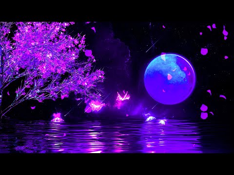 Good Night Music | Calm Deep Sleep Music | 528Hz Positive Energy Meditation Music