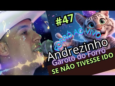 #47 - Forrozão ao Vivo Andrezinho Garoto do Forró - Se Não Tivesse Ido
