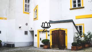 Engelwood - Pink Lemonade