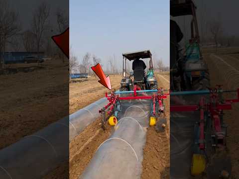 Kineska Mašina koja sama postavlja Foliju preko Sadnice! 😲 #china #masina #sadnica #balkan #viral