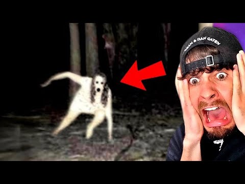 200 Gruselige Videos