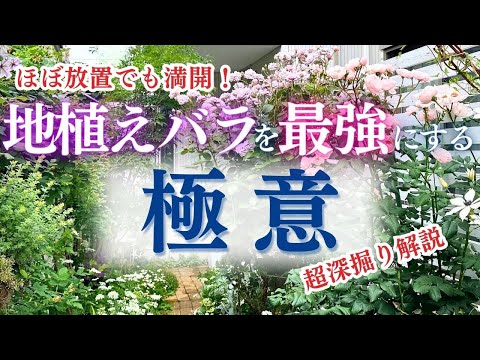 イバラを破壊するにはどうすればよいですか？イバラに対して塩をかけるのは「はい」ですか、「いいえ」ですか？永続的な結果を得るには何に賭けるべきでしょうか?  庭園
