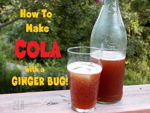 Homemade Cola ~ no weird ingredients, all natural fermented with ginger bug
