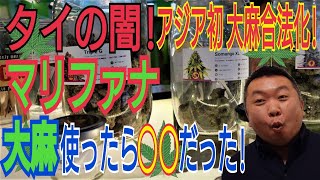 【2022年8月タイ旅行】タイの闇！○麻合法化の実態を調査してみた！街中には○○ファナトラックが来て販売し、専門のマリファナショップも多く出来ていました。実際に購入して体験しましたのでご覧ください