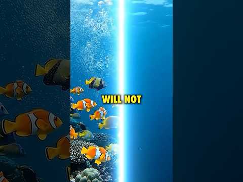 The invisible line no animal can cross! #ninjasarebutterflies #nature #australia #indonesia #ocean