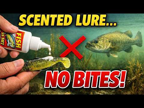 The TRUTH About Fishing Scents: Genius Hack or Total Scam?