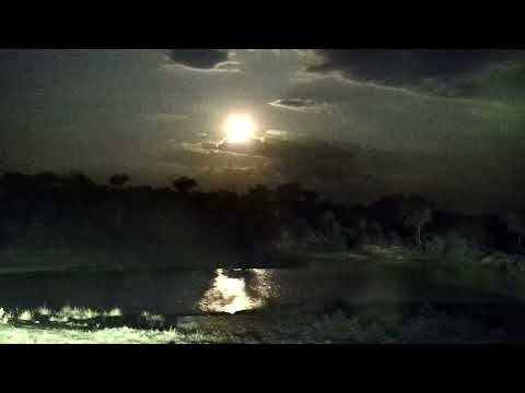 Djuma: Night sky with Moon, clouds and lightning in the distance - 20:04 - 11/09/2022