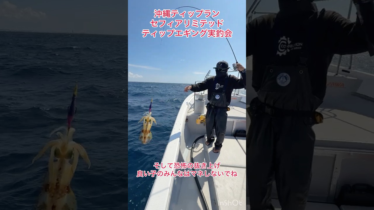 セフィアリミテッドティップエギング実釣会in沖縄❗️遊漁船YAZAWAでリミテッドをしゃくりまくる❗️ #釣り #アオリイカ #ティップラン #ティップランエギング #バーチカルティップラン
