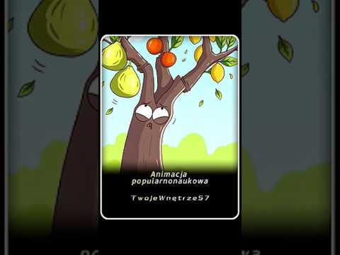 Techniki szczepienia dla drzew owocowych!#shorts
