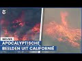 Bizarre beelden: bosbrand verandert in vuurtornado