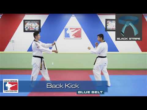 Han Bros Taekwondo  Blue Belt Back Kick