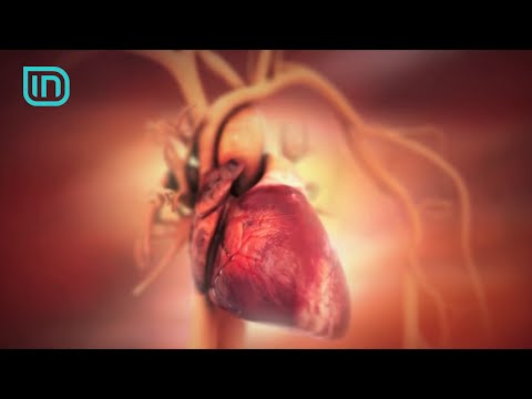 7 hapa per te shmangur semundjet e zemres