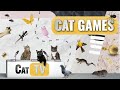 Cat Games | Ultimate Cat TV Compilation Vol 14 | 2 HOURS 🐱📺🐇🕷️🏀🎣🎈🦜🐜🐭🧵🐝🐞🦋🦎