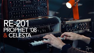 Video thumbnail for Ribbon Celeste. ] Jenco Celeste & Space Echo RE-201, Prophet ’08 & Soundtoys EchoBoy [ by CATTANEO
