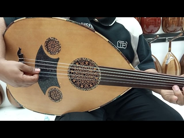 متوفر الحجز المسبق فقط عود موسيقي وعزف احترافي لصن...