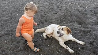 Cute Baby and The Dog playing together on the Beach