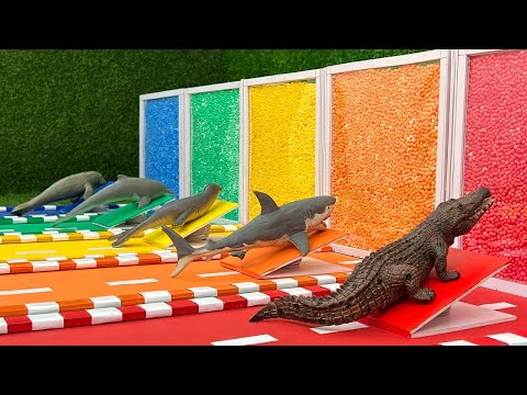 Aprende Nombres y Sonidos de Animales Marinos con Colores - Cocodrilo, Tiburón, León Marino, Delfín