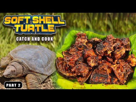 EP864-P2 - Soft Shell Turtle Catch and Cook