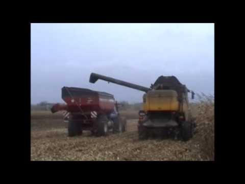 Gobin + Van slambrouck: Mais dorsen.