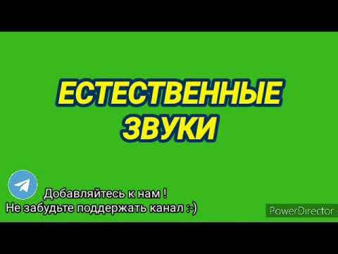 339. Ответ шумным соседям естественными звуками