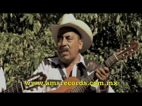 Los Jilgueros del Pico Real - El Sierreño