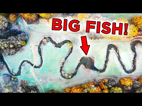 How To Catch More Fish from Small Rivers and Streams