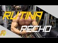 RUTINA DE PECHO PARA VOLUMEN Y CALIDAD MUSCULAR EN 4 SEMANAS! | FERNANDO VALDEZ