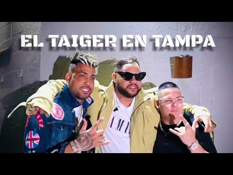 EL TAIGER EN MOJITOS TAMPA